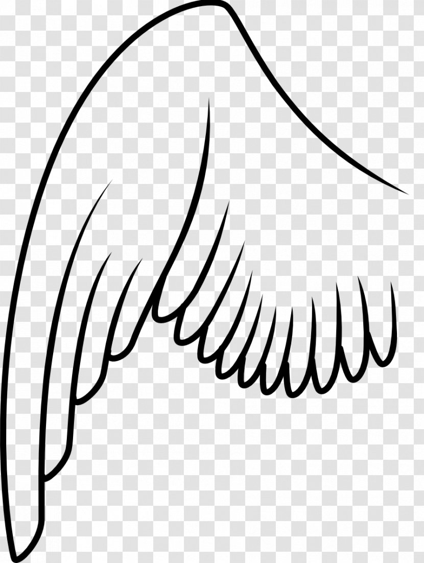 Bird Wing Columbidae Clip Art - Cartoon Transparent PNG