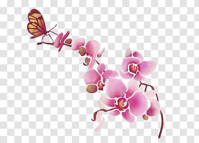 Wall Decal Orchids Lepidoptera Furniture - Pollinator - Blumenorchidee Transparent PNG
