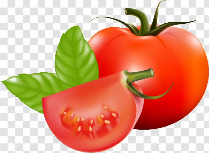 Plum Tomato Cherry Bush Vegetable Fruit - Nightshade Family - Leaf Transparent PNG