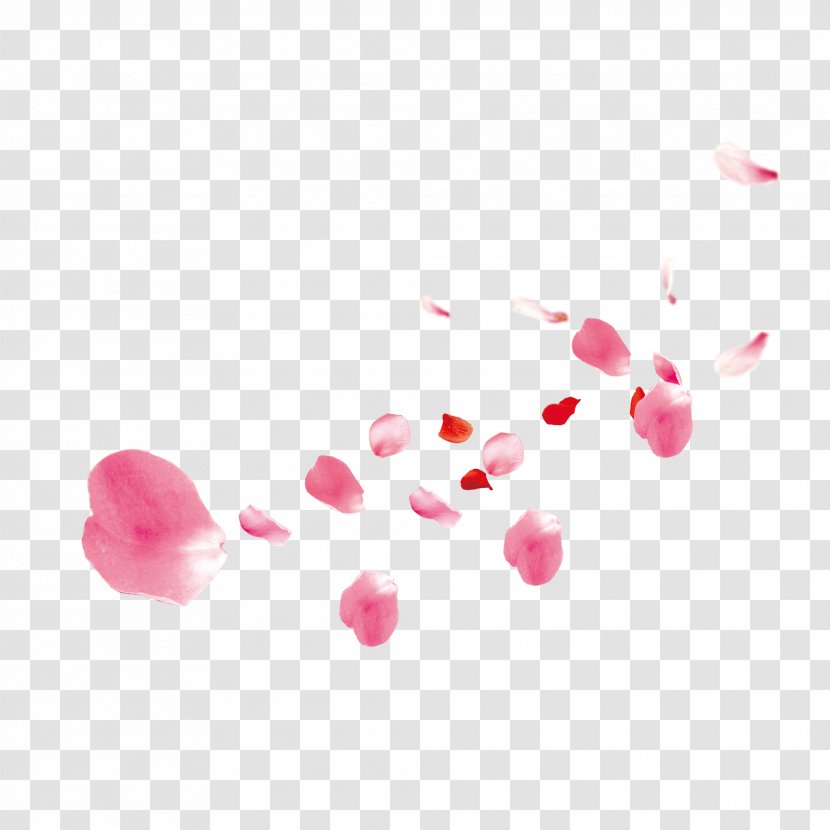 Petal Flower Image - Administracion Vector Transparent PNG