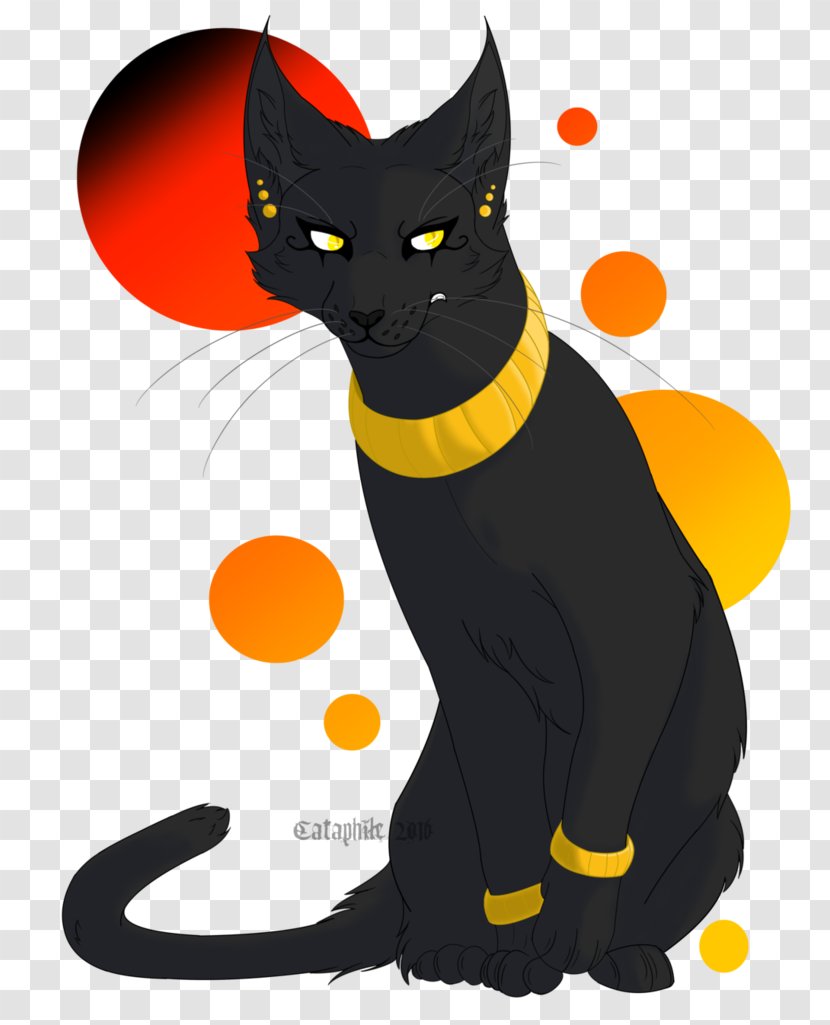 Black Cat Whiskers Chilly Down Transparent PNG