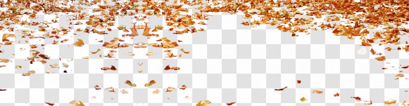 Text Graphic Design Illustration - Autumn - Leaves Transparent PNG