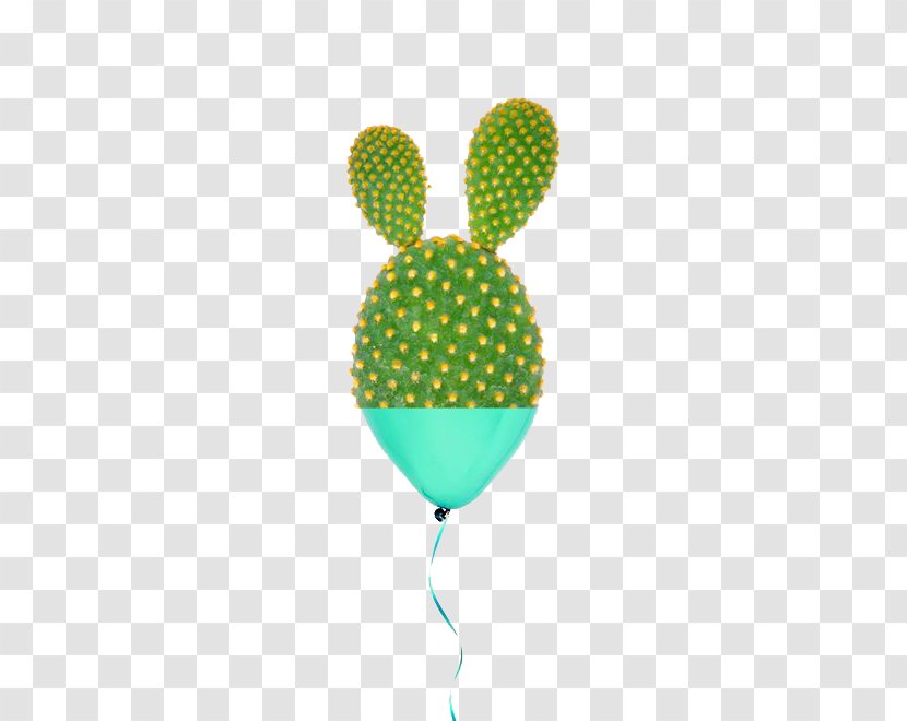 Barbary Fig Cactaceae Green - Stock Photography - Cactus Balloon Transparent PNG