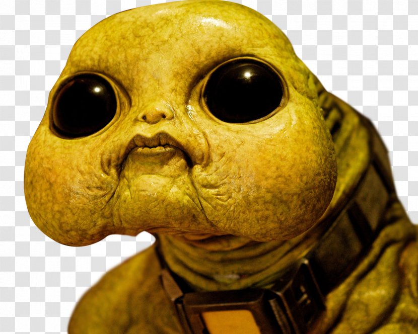 Ninth Doctor Slitheen YouTube Rose Tyler - Fictional Character Transparent PNG