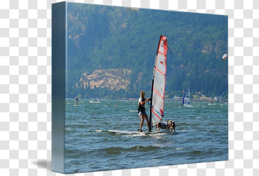 Windsurfing Surfboard Sail Leisure Vacation - Surface Water Sports Transparent PNG