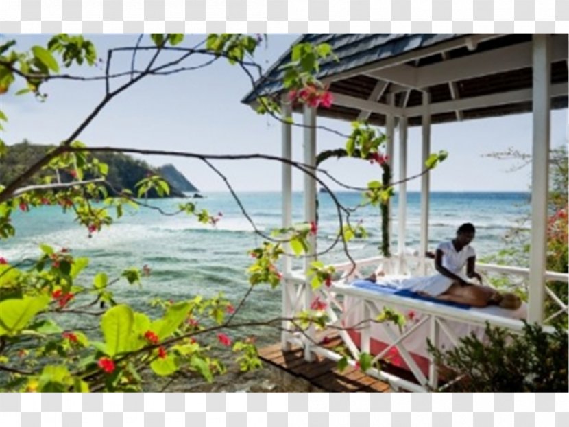 Plant Community Leisure Vacation Resort Landscape Transparent PNG