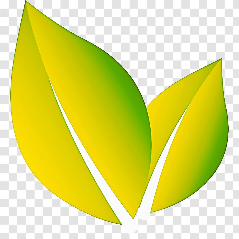 Leaf Yellow Green Logo Clip Art - Plant Transparent PNG