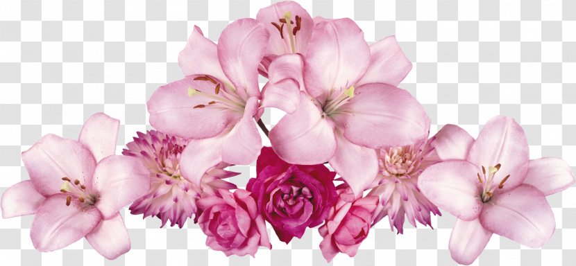 Border Flowers Clip Art - Cherry Blossom - Flower Spa Transparent PNG