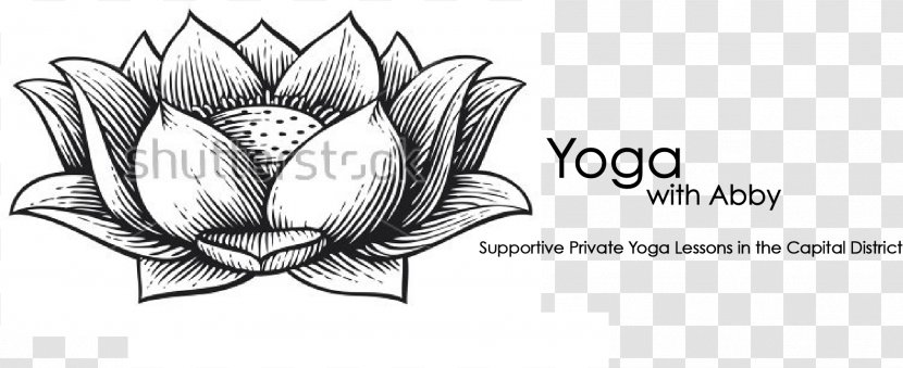 Royalty-free Drawing - Brand - Lotus Transparent PNG