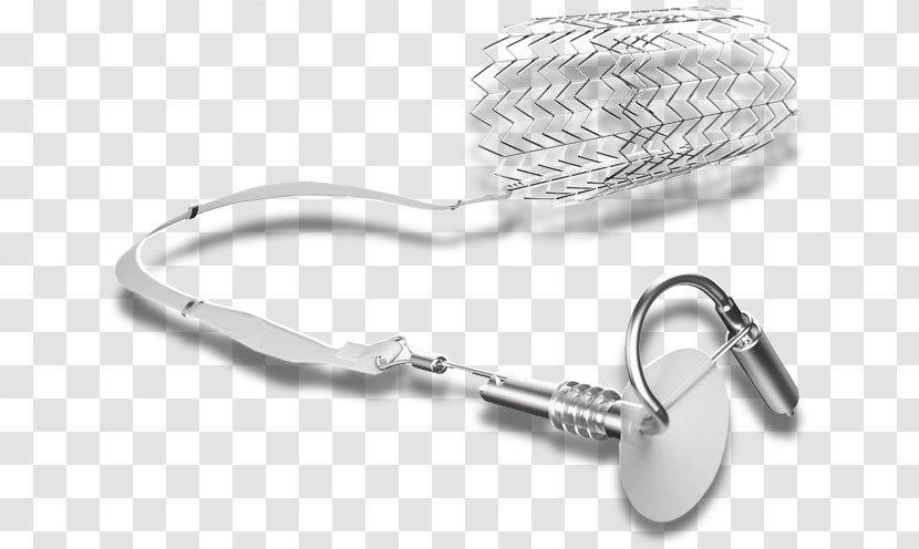 Tricuspid Valve Disorder Insufficiency Surface Area Silver - Hardware Accessory - Innovative Backward Transparent PNG