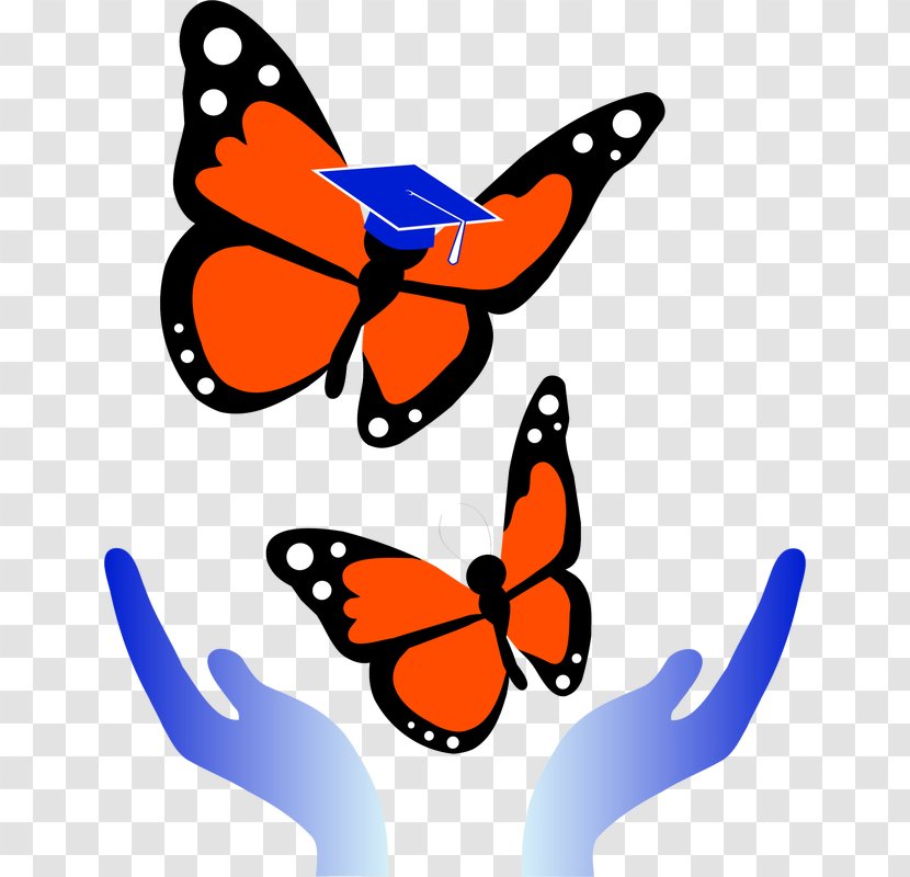 Clip Art Monarch Butterfly Teacher Education School - Class - Triger Insignia Transparent PNG