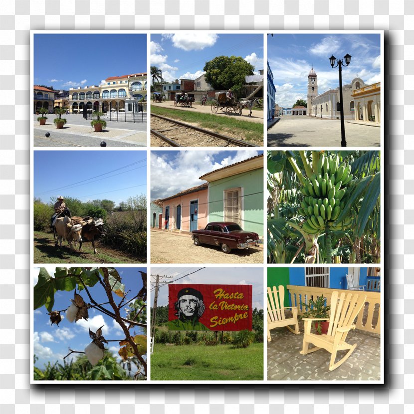Vacation Resort Landscape Property Tourism - House Transparent PNG