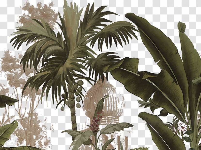 Yanoda Arecaceae Tropics Plant - Palm Tree - Hand Painted Tropical Transparent PNG