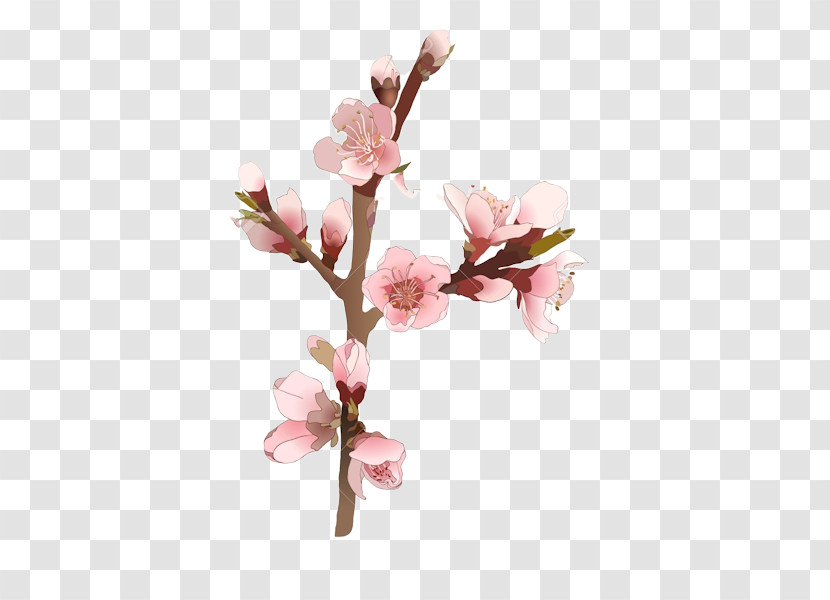 Cherry Blossom Transparent PNG