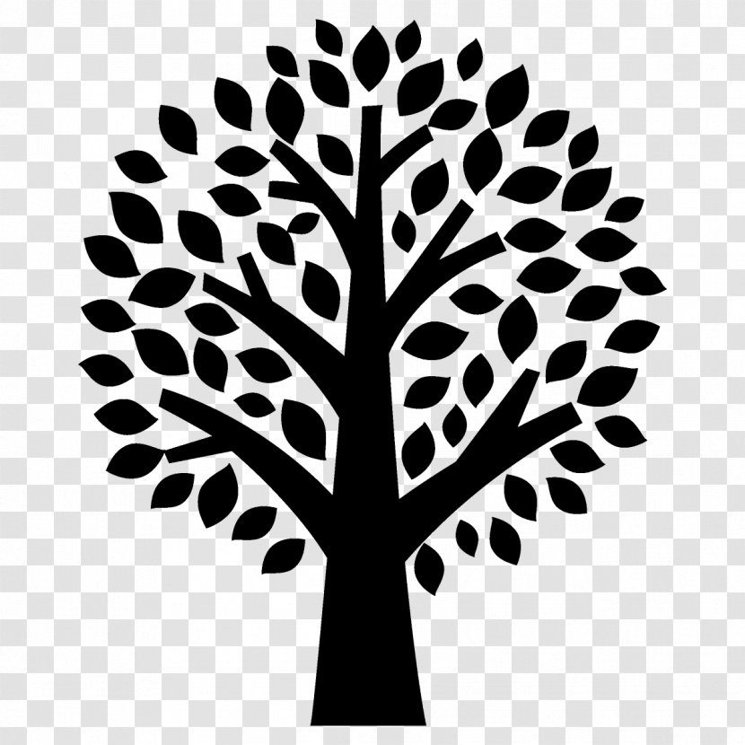 Leaf Tree Black-and-white Plant Line - Stem Stencil Transparent PNG