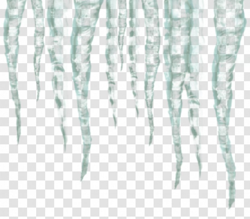 Clip Art Image Transparency Icicle - Plant - Frozen Icicles Transparent PNG