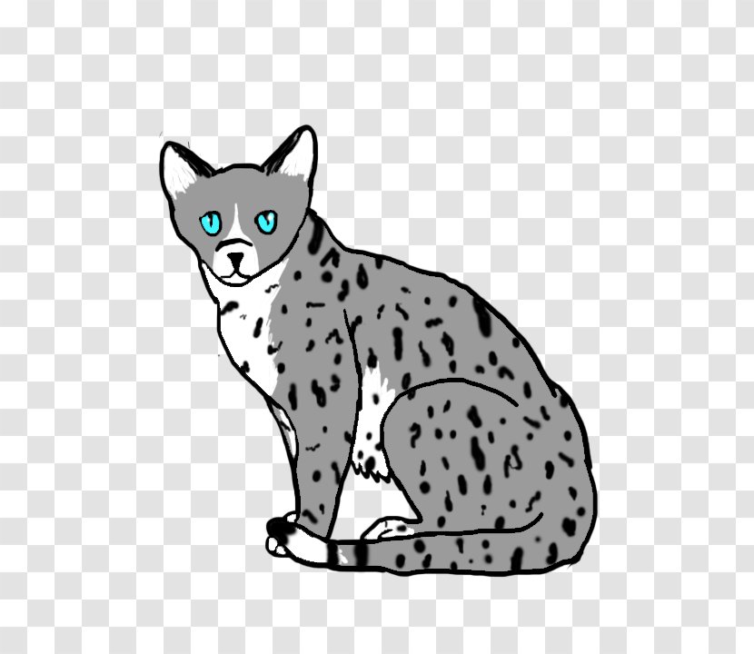 California Spangled Ocicat Whiskers Tabby Cat Wildcat - Carnivoran - Silver Splash Transparent PNG