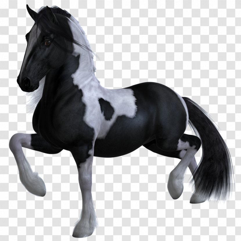 Stallion Mustang Mare Halter Rein - Livestock Transparent PNG