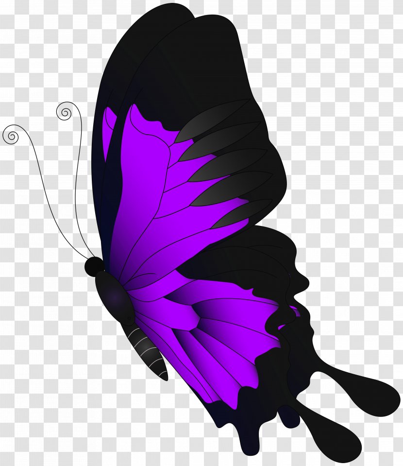 Butterfly Chroma Key - Violet - Purple Flying Clip Art Transparent PNG
