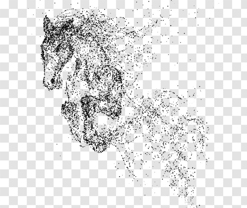Horse Equestrian Stallion Canter And Gallop - Organism Transparent PNG
