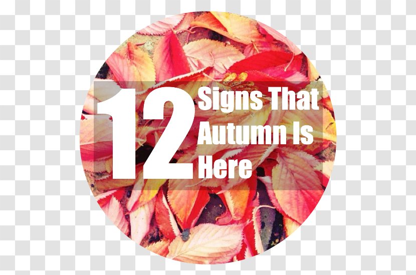 Autumn Is Here! Signage Child Blog - Here - Girl Transparent PNG