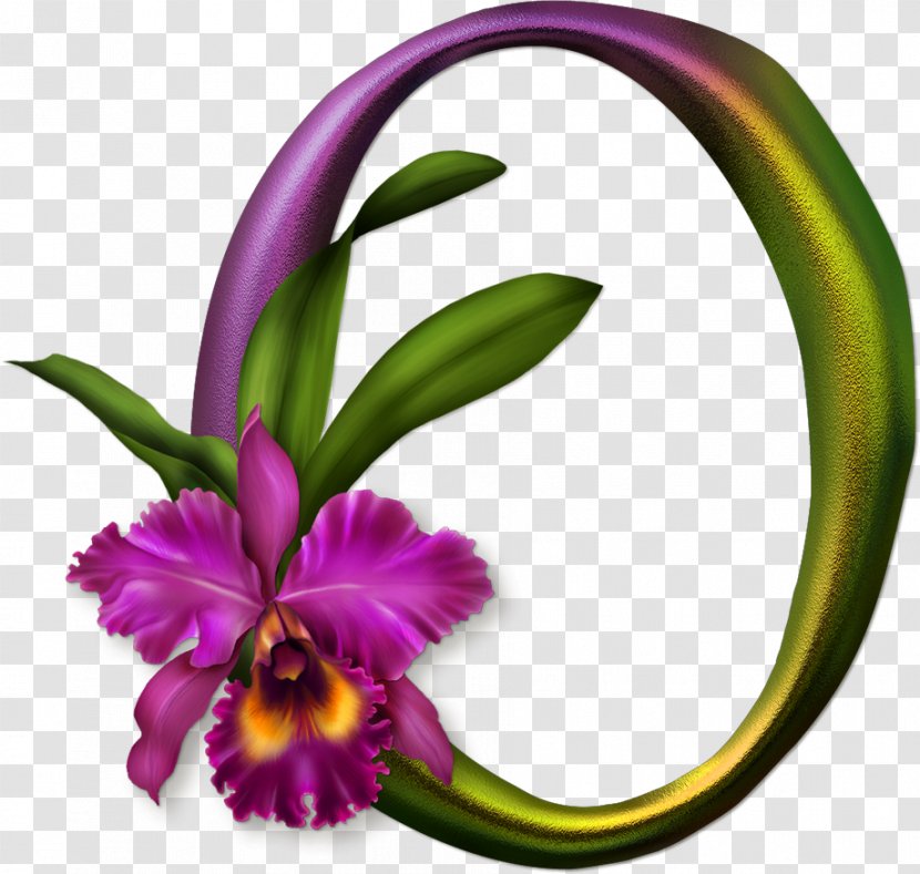 Alphabet Letter Picture Frames - Flowering Plant - Orchids Transparent PNG