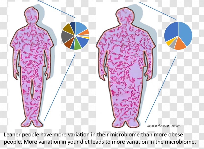 Human Microbiome Project Microbiota Gut Flora Obesity Bacteria - Cartoon -  Health Transparent PNG