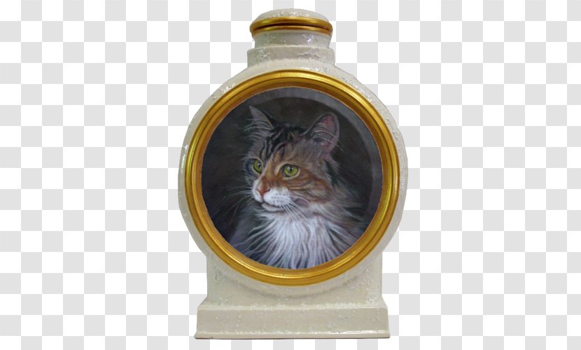 Whiskers Tabby Cat - Like Mammal Transparent PNG