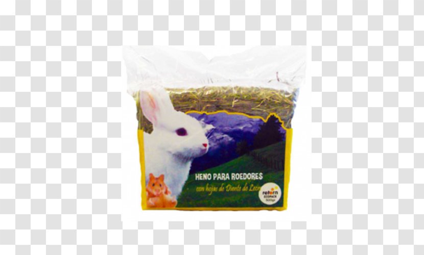 Clinica Veterinaria El Guirre Guinea Pig Rabbit Animal Pet - Dieting Transparent PNG