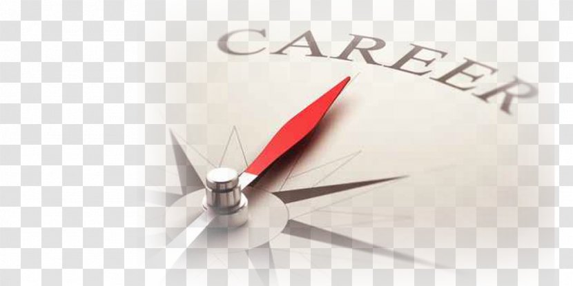 Career Counseling Job Student - Careers Advisor Transparent PNG