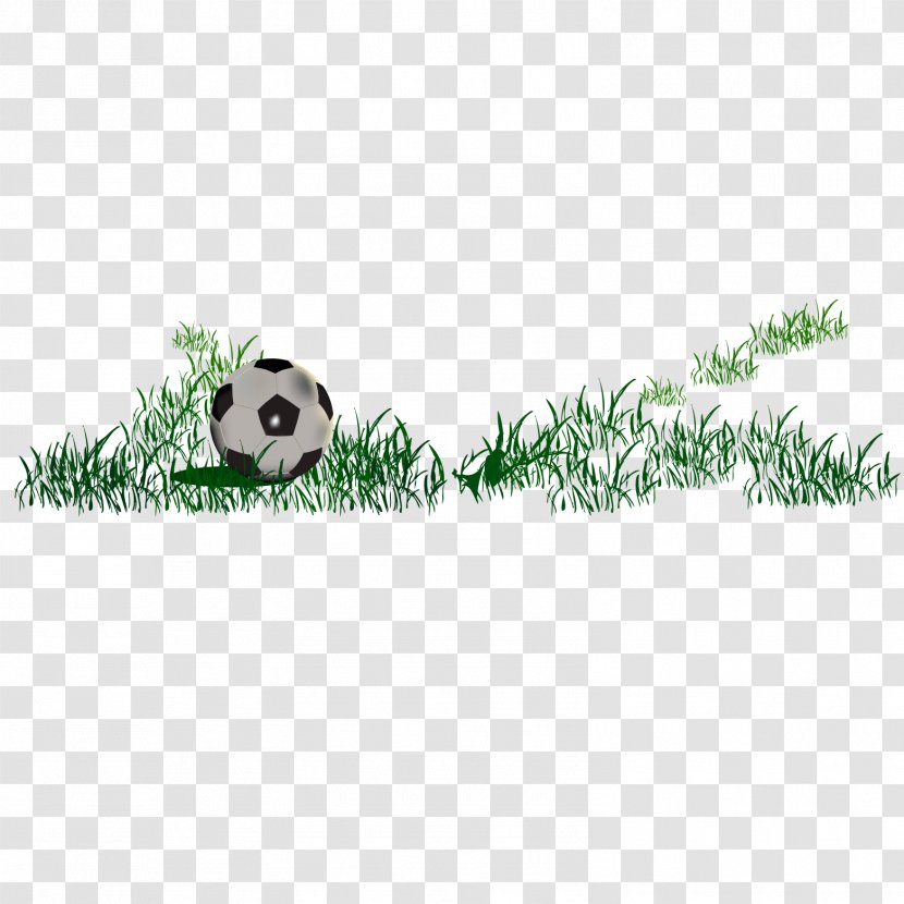 Football - Material - Grass Transparent PNG