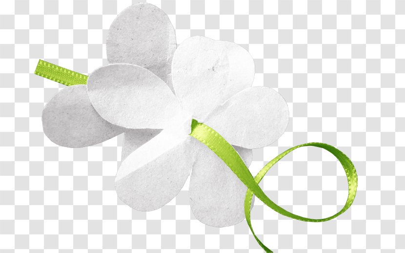 Petal Cut Flowers - Design Transparent PNG
