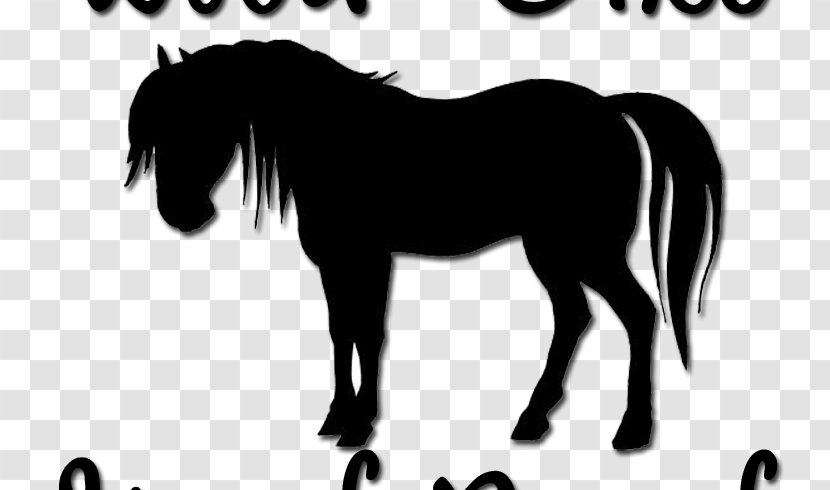 Horse Pony Silhouette Foal Equestrian - Mane Transparent PNG