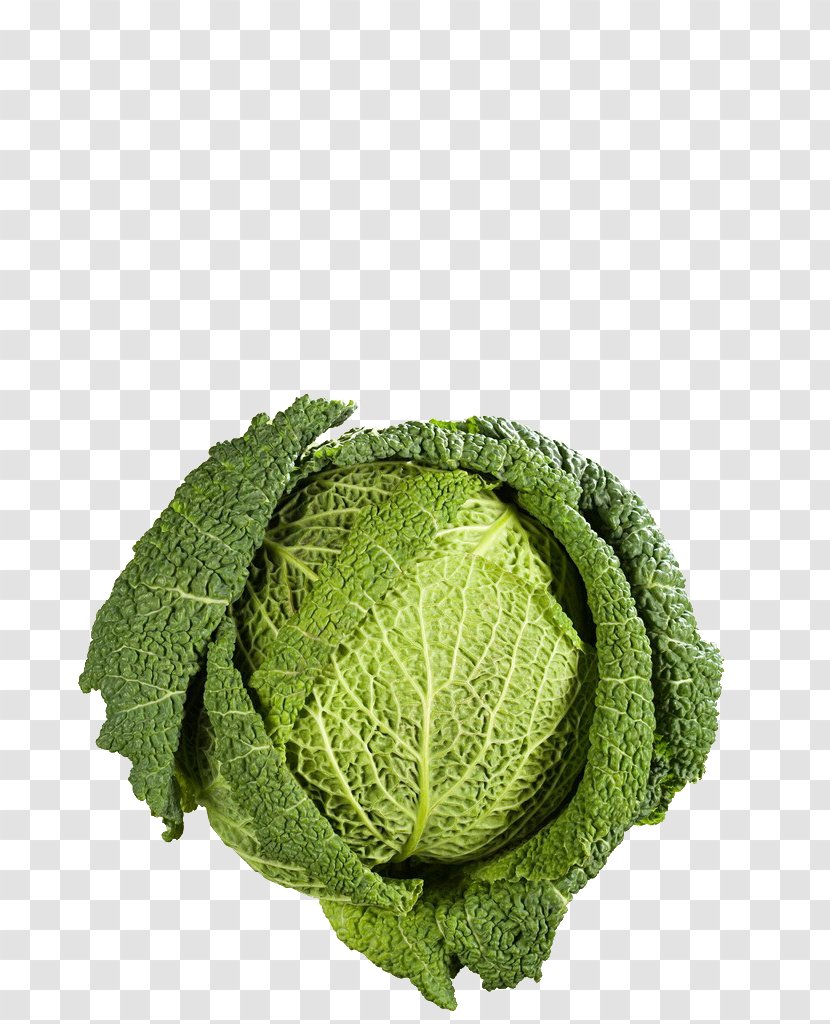 Savoy Cabbage Congee Vegetable Broccoli - Produce Transparent PNG