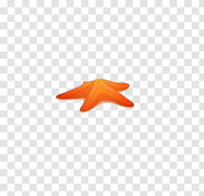 Computer Wallpaper - Wing - Starfish Transparent PNG