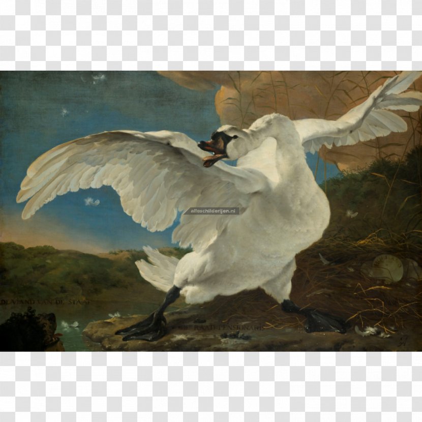 Rijksmuseum The Threatened Swan Painting Dutch Golden Age Art - Museum Transparent PNG