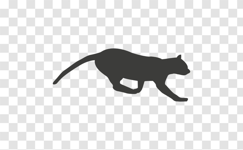 Cat Mammal Whiskers Carnivora Dog - Animal Figure - Sequntial Vector Transparent PNG