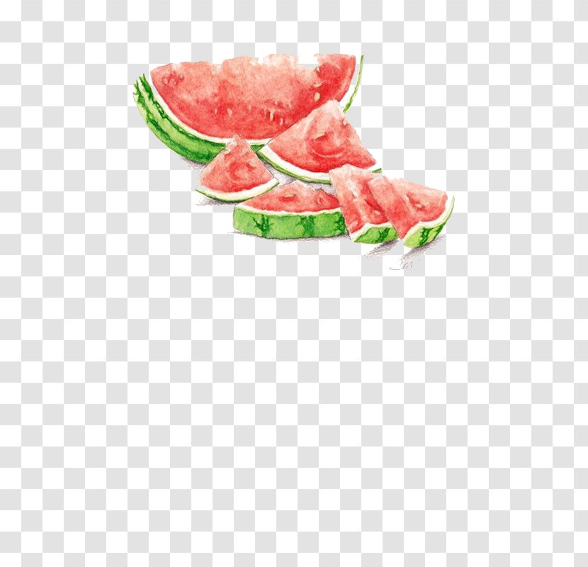 Watermelon Watercolor Painting Drawing Seedless Fruit - Vegetable Transparent PNG