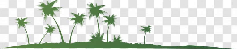 Arecaceae Kota Kinabalu Tours & Travel Agency | Avasee Asia Coconut - Text - Tree Vector Transparent PNG
