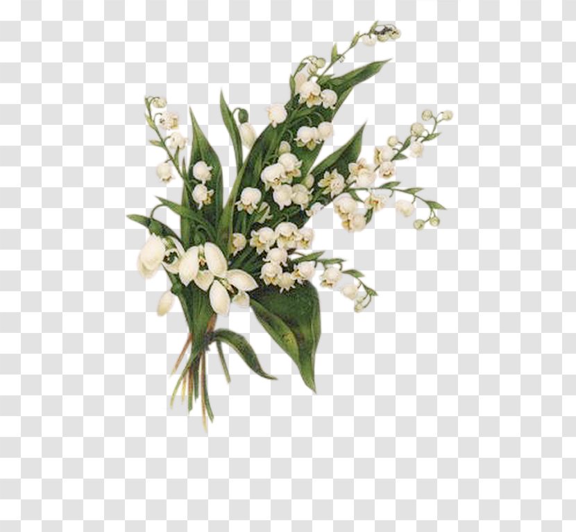 Lyon 1 May Lily Of The Valley Floral Design International Workers' Day - Plant Transparent PNG