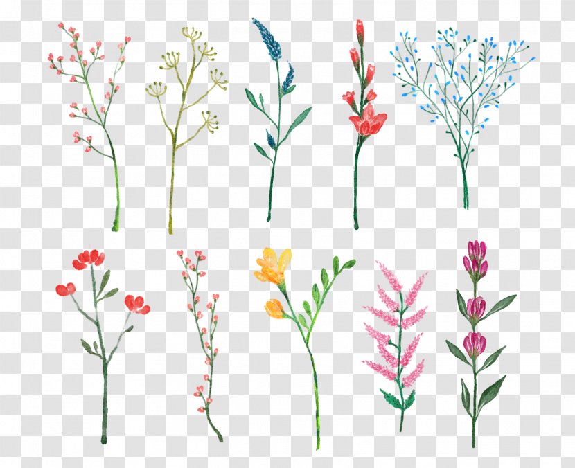 Floral Design Cut Flowers Joonggonara - Text - Bloom Transparent PNG