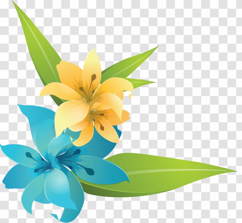 Lilium Flower - Cut Flowers - Hand-painted Lily Transparent PNG