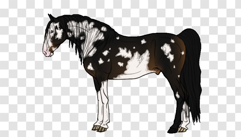Mane Mustang Stallion Foal Mare - Horse Harness - Seal Brown Transparent PNG