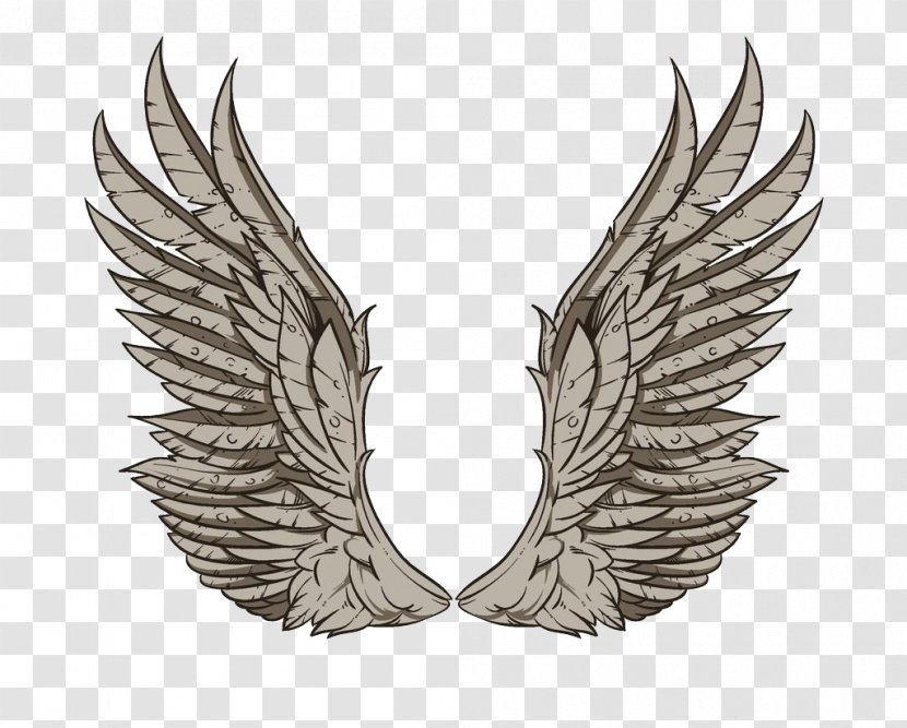 Wing Clip Art - Feather - Gray Wings Transparent PNG