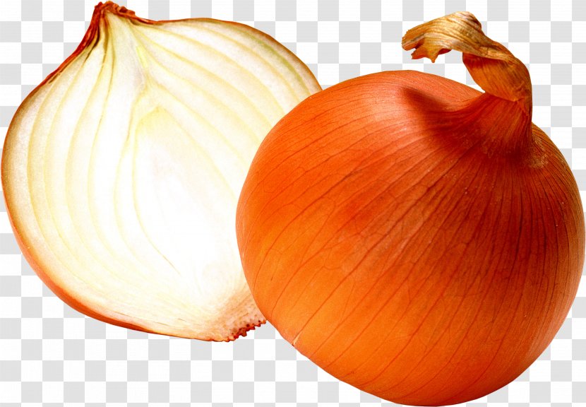 Liver And Onions Blooming Onion Computer File - Image Transparent PNG