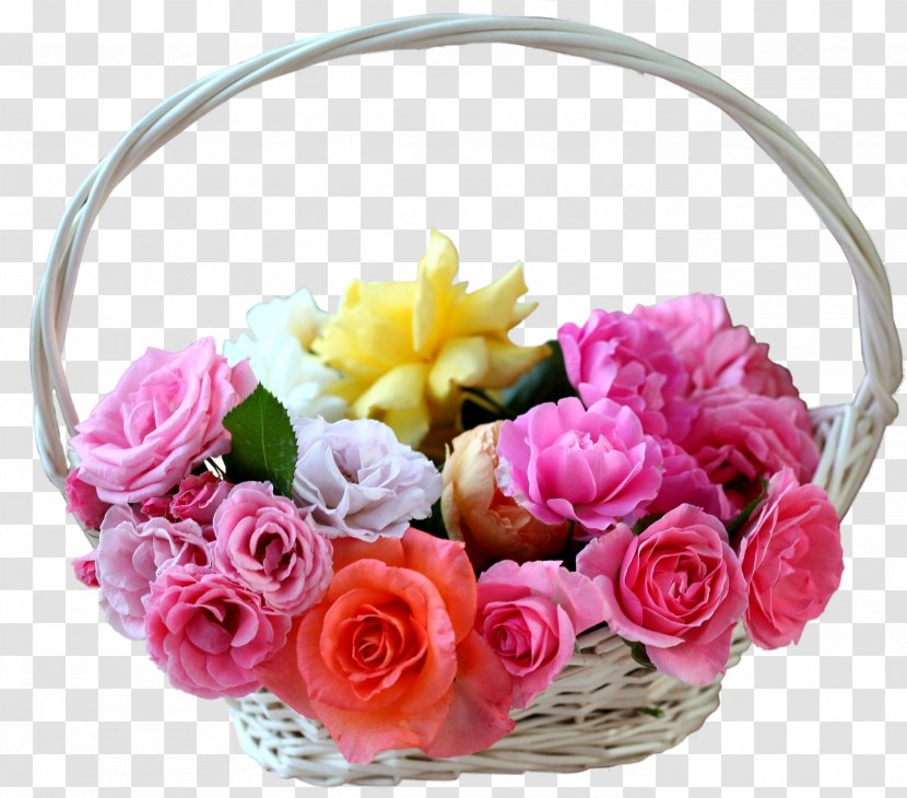 Flower Morning Wallpaper - Rose - Vector Floral Decorative Material Transparent PNG