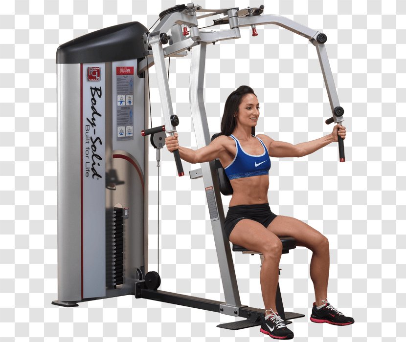 Machine Fly Rear Delt Raise Exercise Equipment - Tree Transparent PNG
