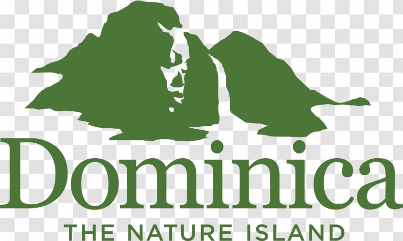 Dominica Ecotourism Hotel Destination Marketing Organization - Green Transparent PNG