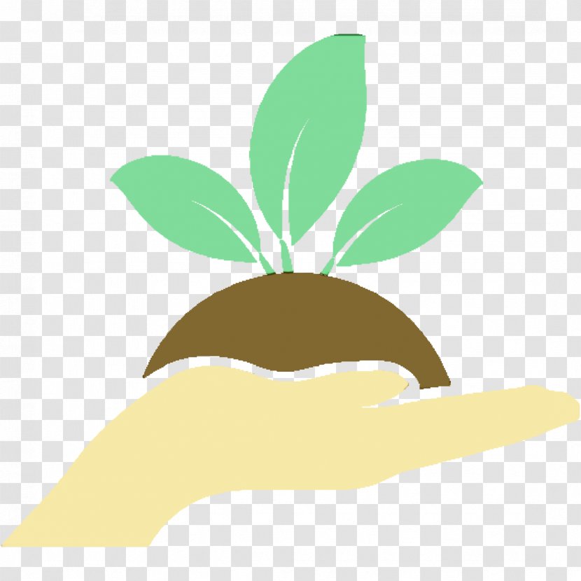 Green Leaf Watercolor - House - Plant Stem Logo Transparent PNG