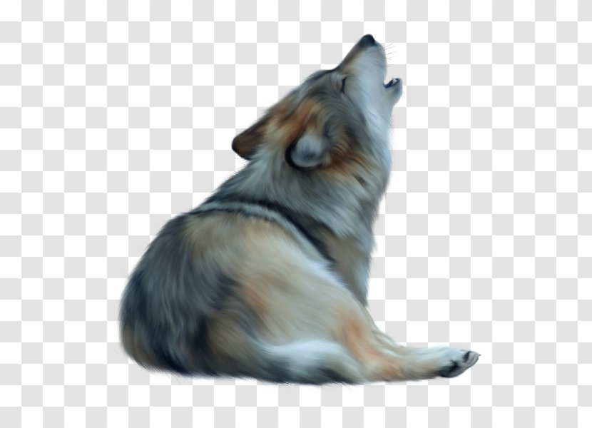 Dog Breed Red Fox - Group - Howling Wolf On Month Transparent PNG